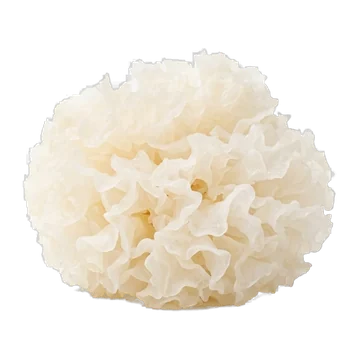 Tremella